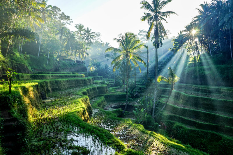 Bali